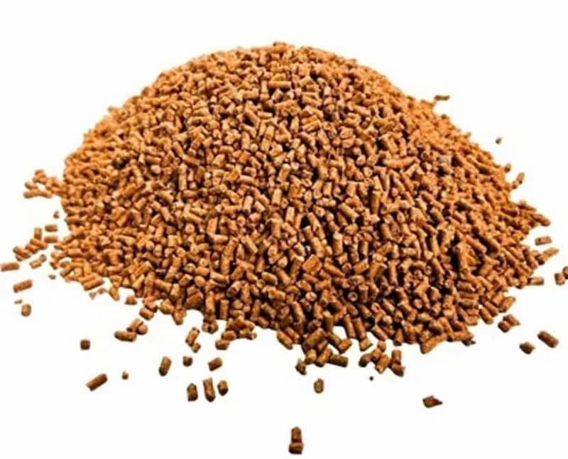 تصویر 2 از خوراک ماهی کپور باکیفیت برای افزایش وزن و سلامت آبزیان