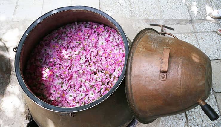 فروش گلاب صادراتی