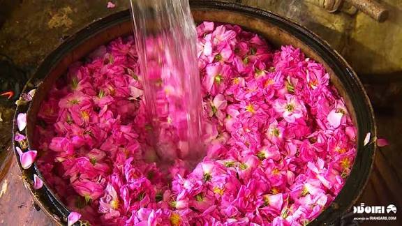 تصویر 4 از گلاب صادراتی کاشان با عطر ناب گل محمدی
