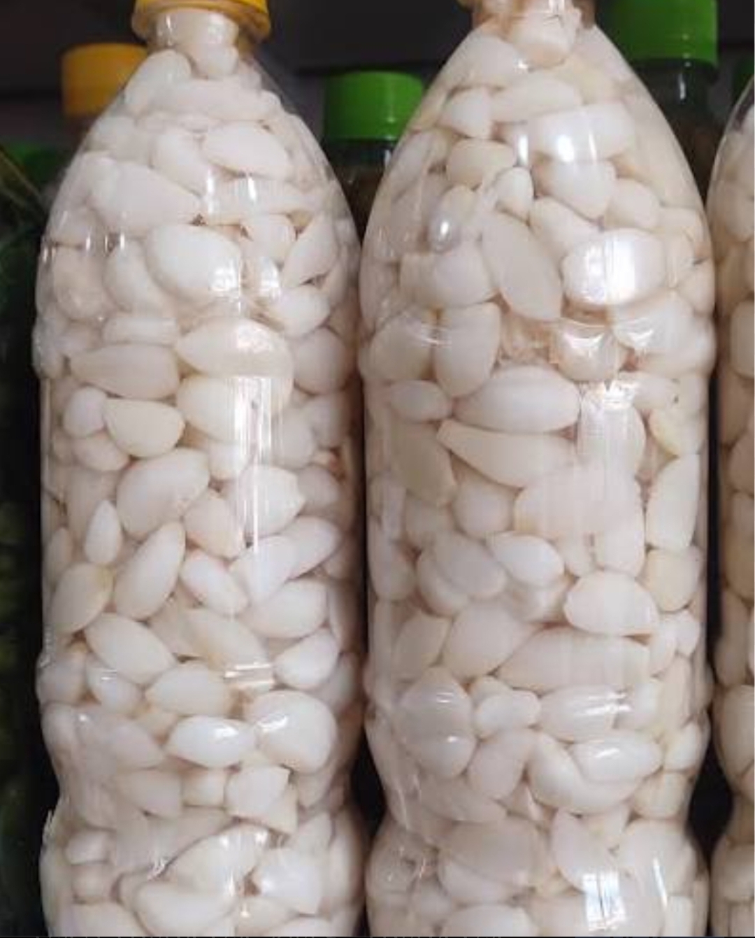 قیمت فروش عمده + سیر مرواریدی حبه