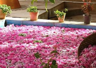 تصویر 3 از گلاب محلوجی کاشان مناسب مصارف خانگی و حرفه ای