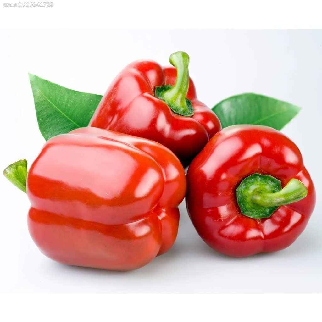 فلفل دلمه قرمز تازه و خوش رنگ