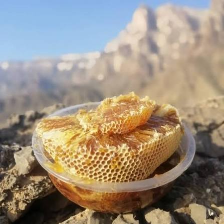 تصویر 4 از عسل کوهی کردستان با کیفیت مطلوب و طعم ماندگار