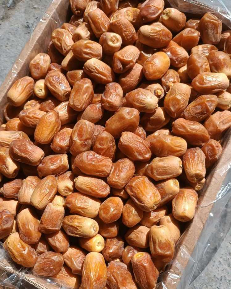 تصویر 2 از استانداردهای بسته بندی خرما برای صادرات