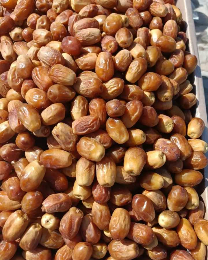 تصویر 2 از خرما زاهدی؛ محصولی مناسب برای صادرات