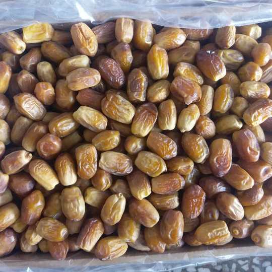 تصویر 2 از خرما زاهدی با کیفیت صادراتی + قیمت عمده