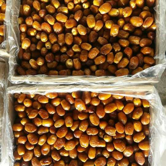 تصویر 4 از خرما زاهدی با کیفیت صادراتی + قیمت عمده