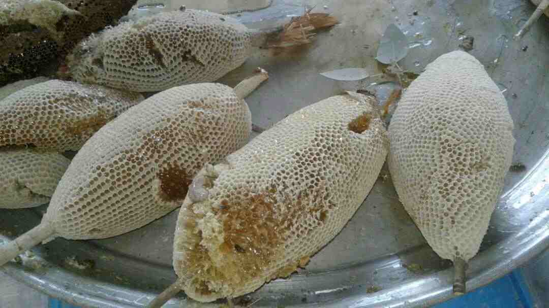 تصویر 1 از عسل کوهی خوزستان خالص با طعم اصیل کوهستان