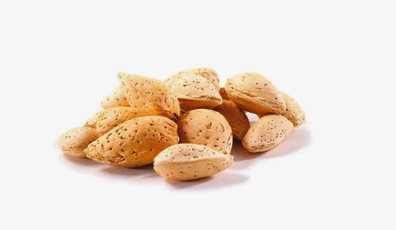 تصویر 3 از بادام سنگی درجه یک با مغز درشت و یکدست