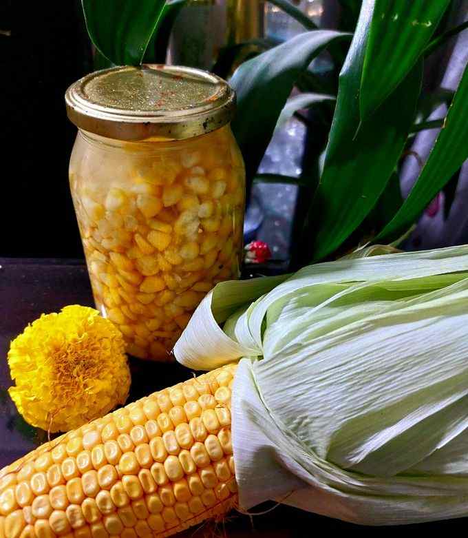 کنسرو ذرت شیرین تازه و خوش طعم با دانه های درشت