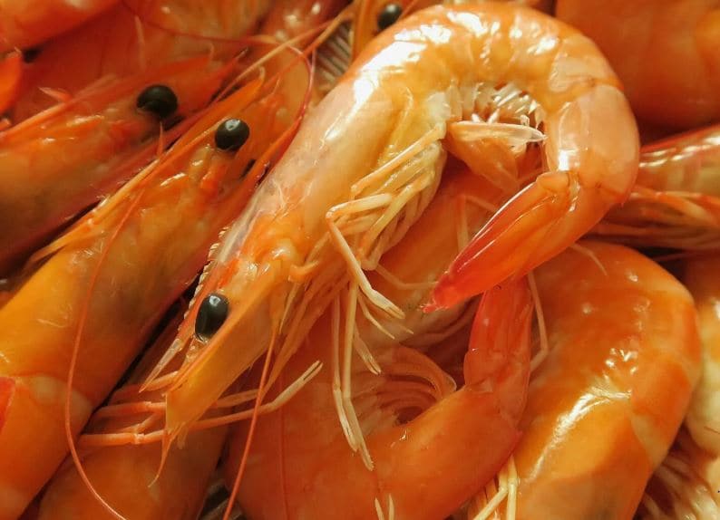 تصویر 2 از میگو درشت بوشهر با گوشت سفت و با کیفیت