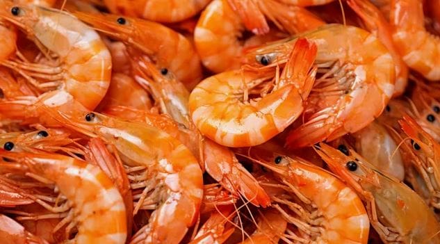میگو درشت بوشهر با گوشت سفت و با کیفیت
