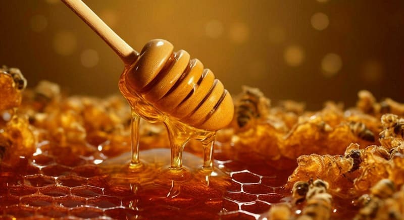 تصویر 4 از عسل آویشن طبیعی تهیه شده از شهد ناب