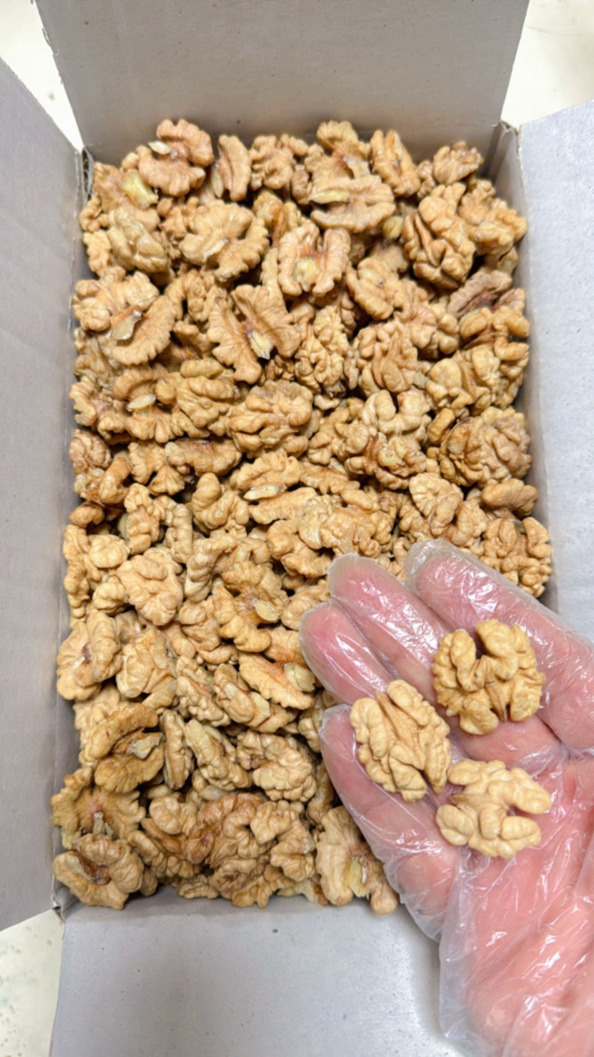 مغز گردوی دستچین صادراتی تویسرکان