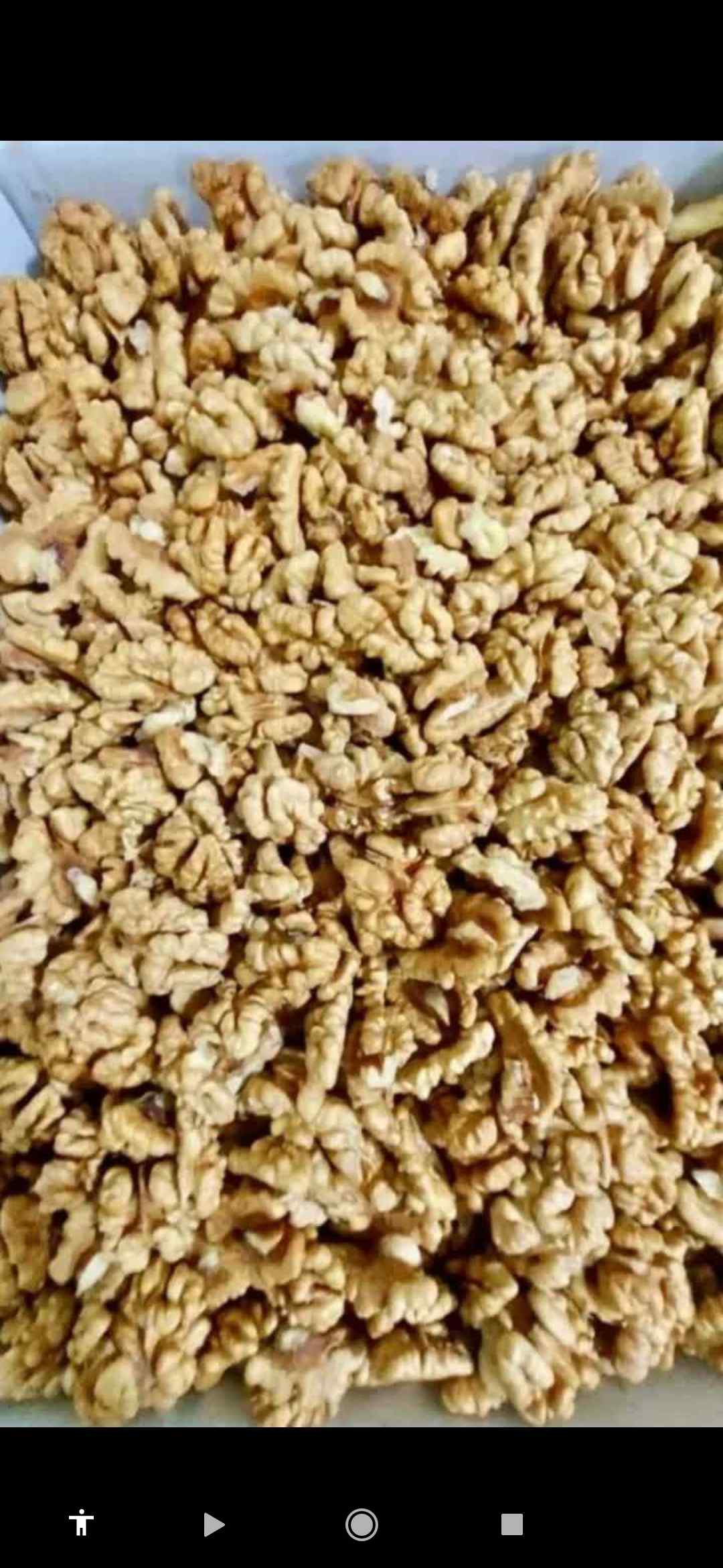 تصویر 2 از مغز گردوی دستچین صادراتی تویسرکان