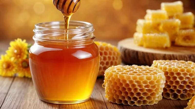 تصویر 1 از عسل آویشن دماوند حاصل گل های وحشی