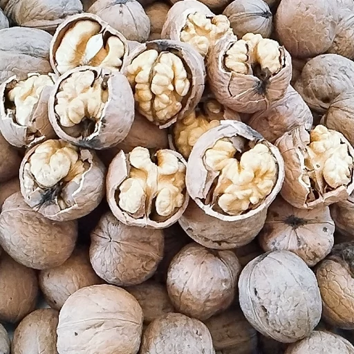 تصویر 2 از مغز دندونه سفید صادراتی