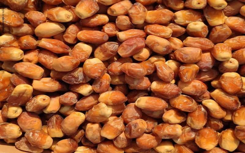 تصویر 4 از خرما زاهدی با هسته کوچک و گوشت غلیظ و خوشمزه