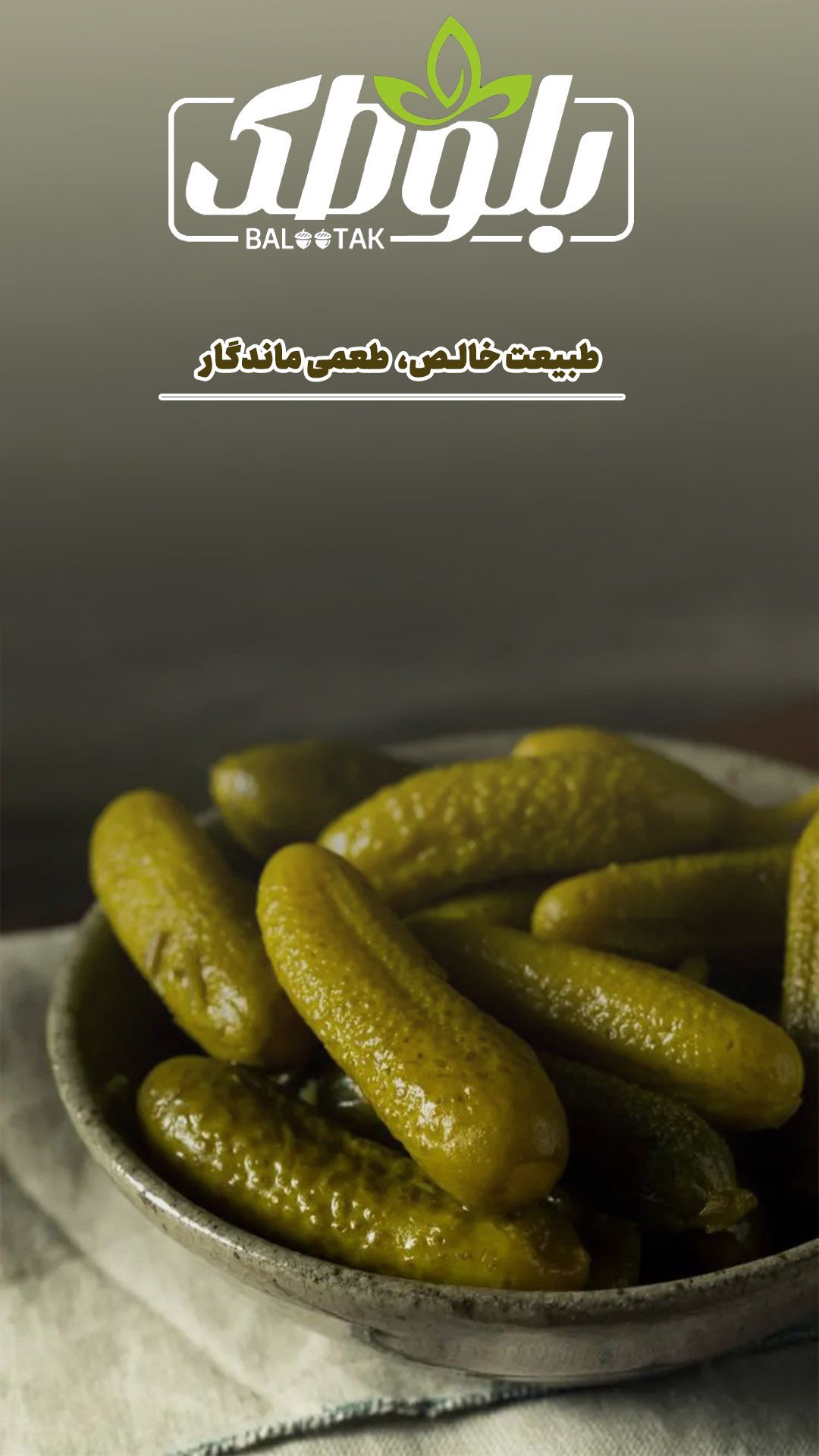 فروش خیارشور ویژه سرکه ای