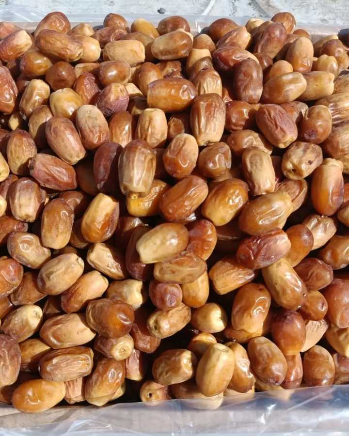 تصویر 1 از خرمای زاهدی مناسب بازارهای جهانی + قیمت عمده