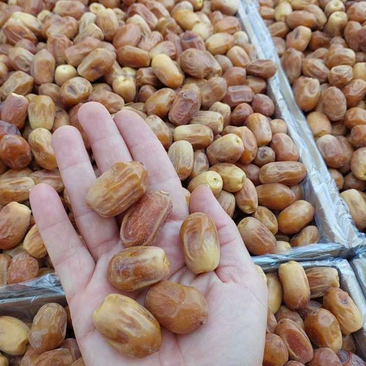 تصویر 1 از خرمای زاهدی صادراتی با تأمین پایدار + قیمت عمده