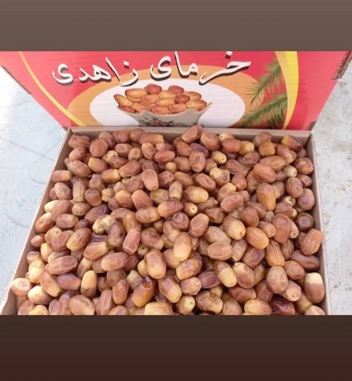 تصویر 1 از خرید عمده خرمای زاهدی با تحویل مستمر