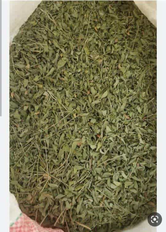 تصویر 3 از حنا اتابک ارسال مستقیم از حناسابی