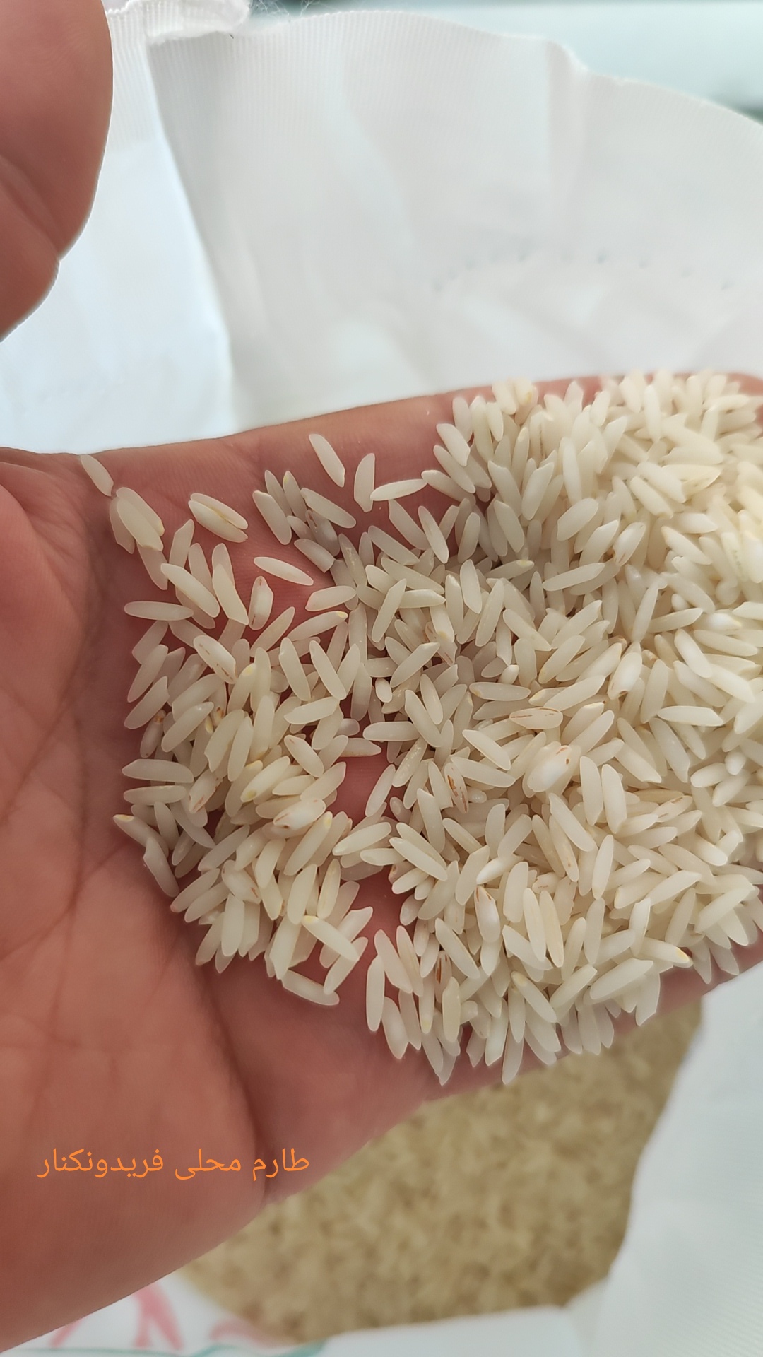تأمین عمده برنج طارم و هاشمی برای تالار و رستوران با تست پخت | برنج موون (Moon Rice)