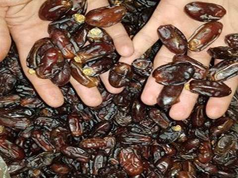 خرید خرما سایر تازه + قیمت فروش استثنایی