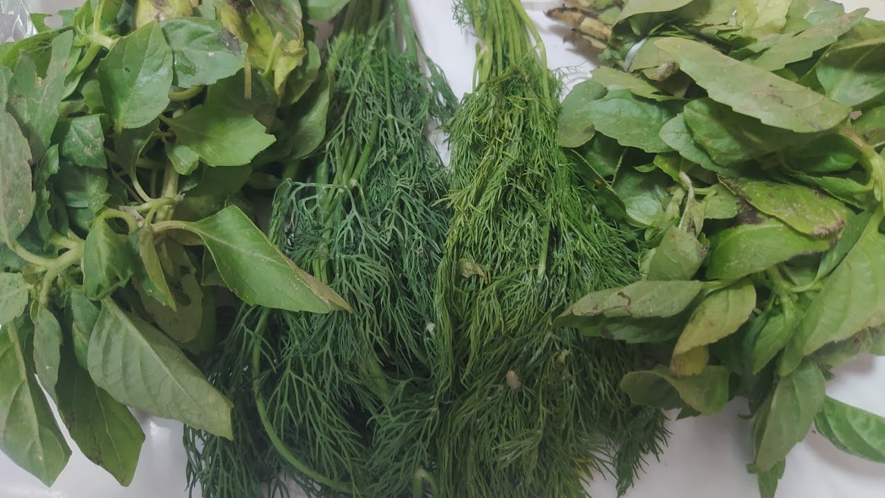 تصویر 1 از سبزی آشی در بارداری با ترکیبات طبیعی و عطر دلپذیر