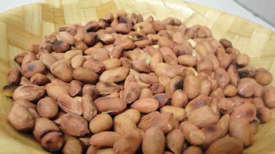 تصویر 2 از مغز بادام زمینی با کیفیت مناسب صنایع غذایی