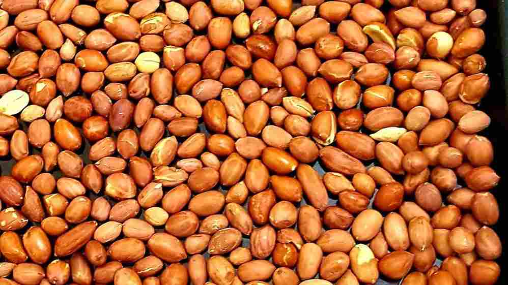تصویر 4 از مغز بادام زمینی با کیفیت مناسب صنایع غذایی