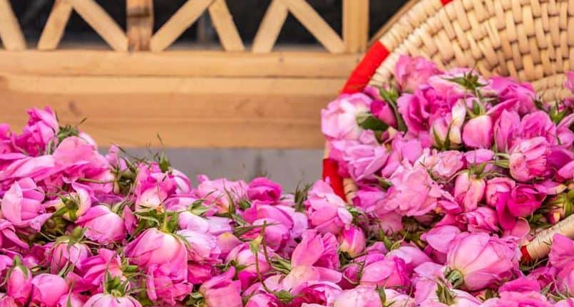 تصویر 2 از گلاب دو آتیشه بهارستان با کیفیت خالص و طبیعی