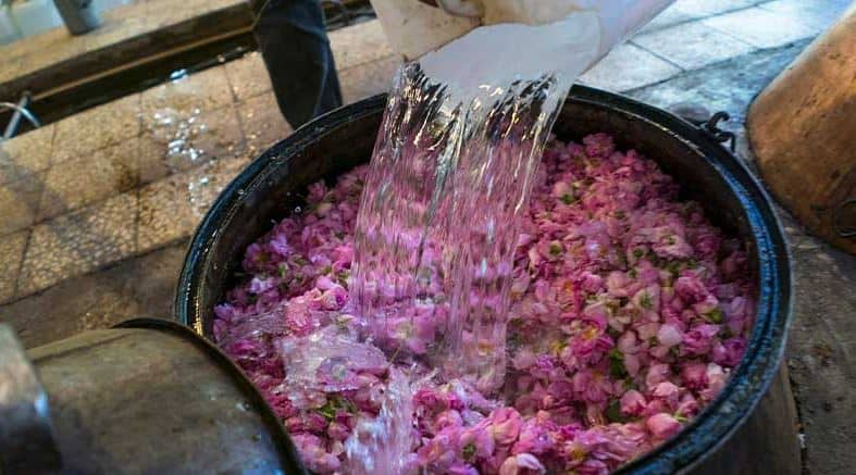 تصویر 3 از گلاب دو آتیشه بهارستان با کیفیت خالص و طبیعی