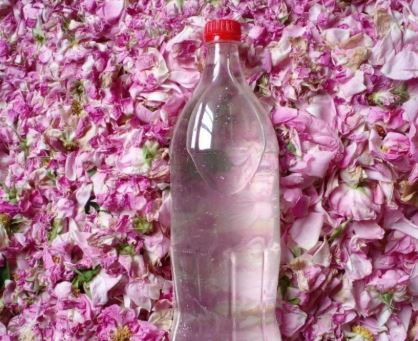 گلاب ناب