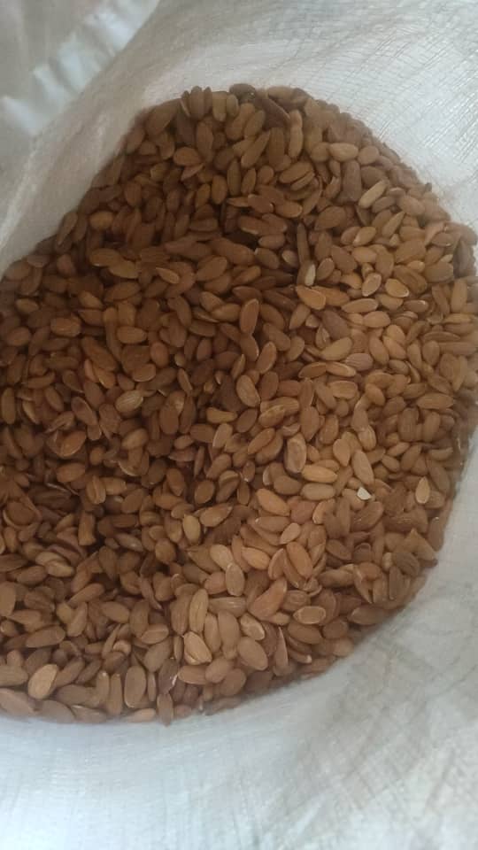 مغز بادام مامایی  مینی چهار محال + عمده