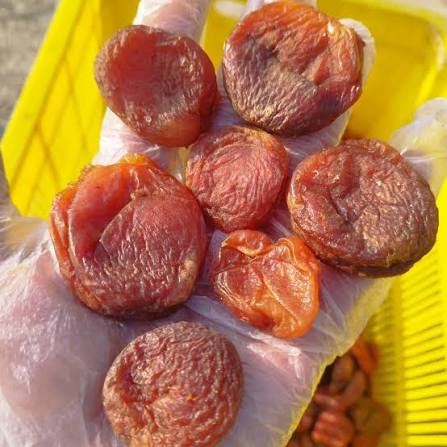 تصویر 4 از قیسی مشهدی آفتابی مناسب بازارهای داخلی و صادراتی