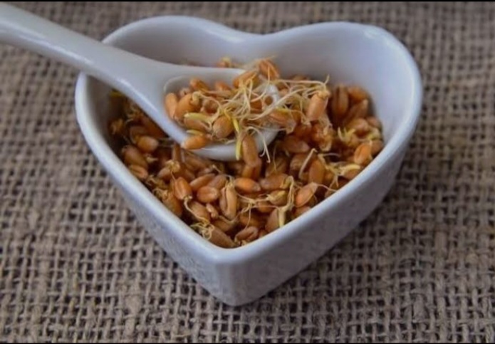 تصویر 1 از پودر جوانه گندم خالص + صادراتی