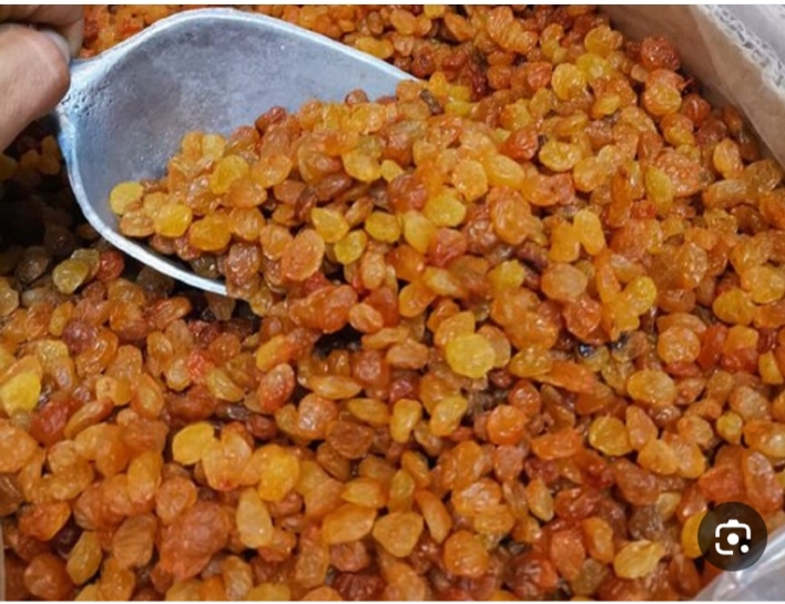 خرید کشمش تیزابی طلایی درشت قوچان .درجه ۱ صادراتی