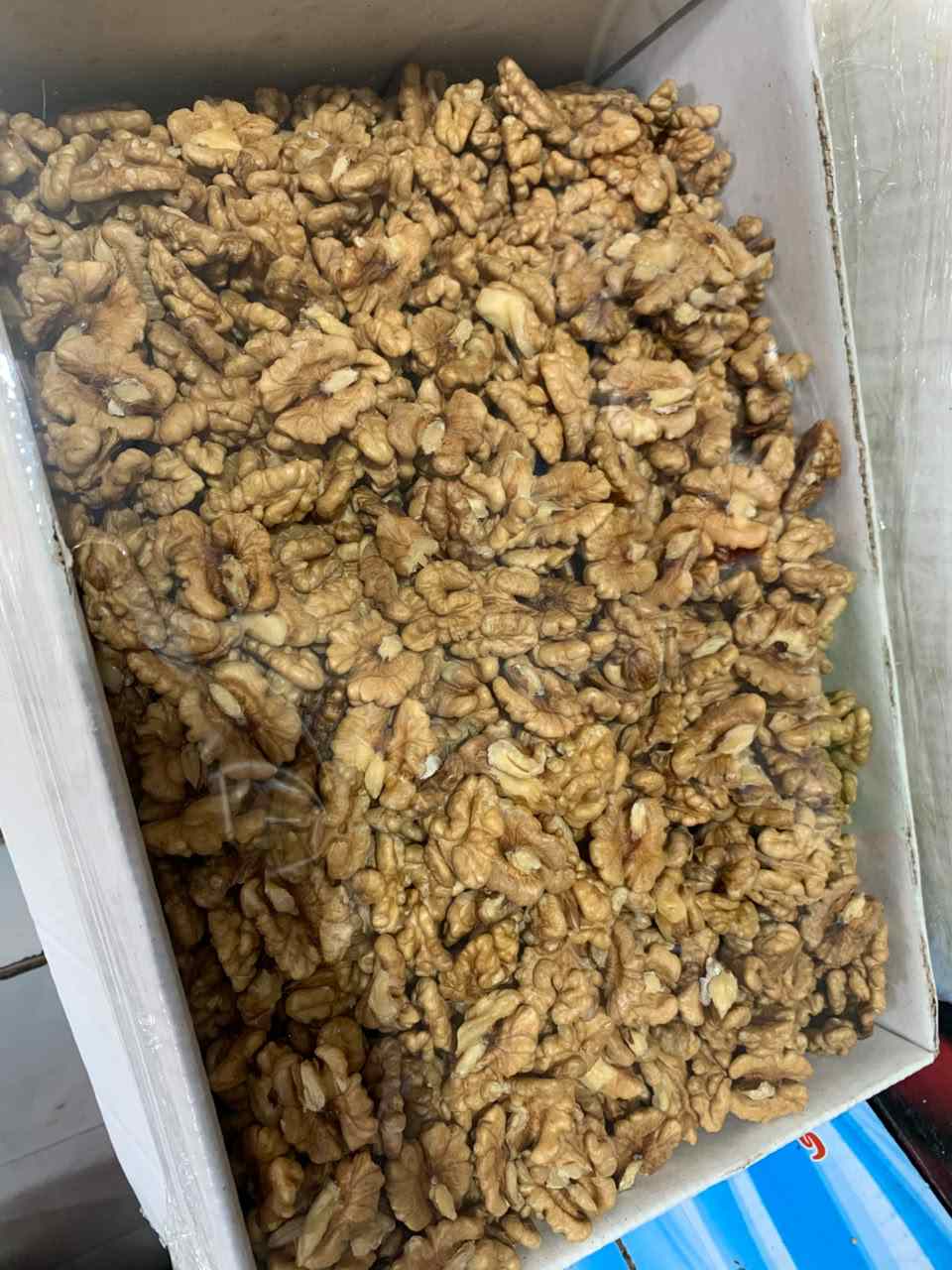تصویر 2 از گردوی درجه یک بلغاری طعم اصیل و کیفیت بی‌رقیب»
