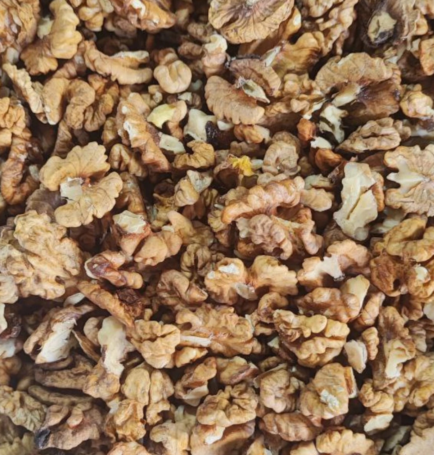 تصویر 3 از گردوی درجه یک بلغاری طعم اصیل و کیفیت بی‌رقیب»