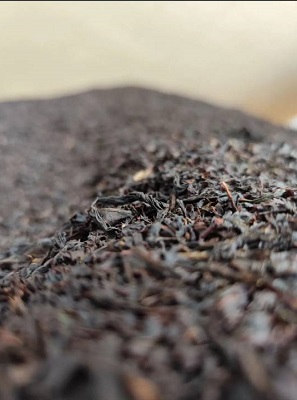 خرید چای لاهیجان اصل