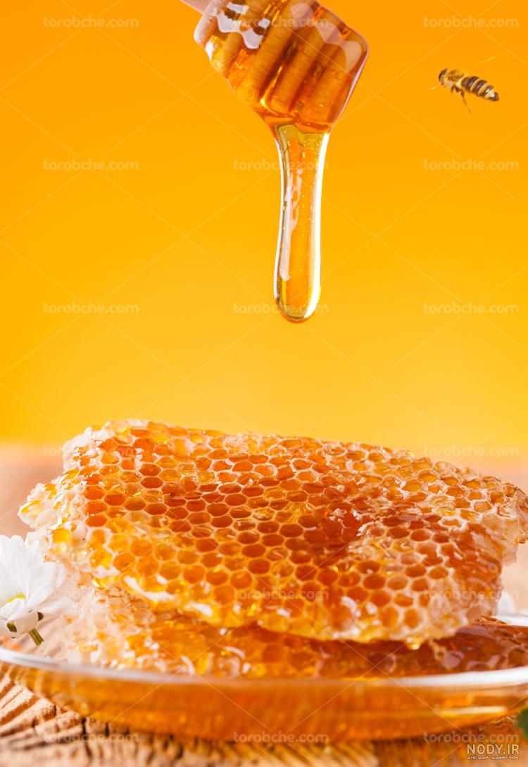 تصویر 2 از عسل آویشن طبیعی درجه یک ، کیفیت ممتاز ، قیمت مناسب