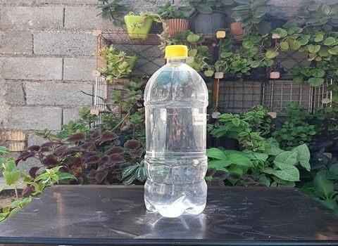 عرق بیدمشک طب سنتی خالص تهیه شده از گیاه مرغوب