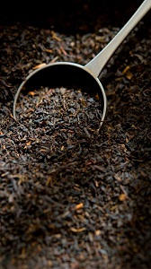 خرید چای لاهیجان اصل؛ طعم واقعی چای ایرانی را تجربه کنید