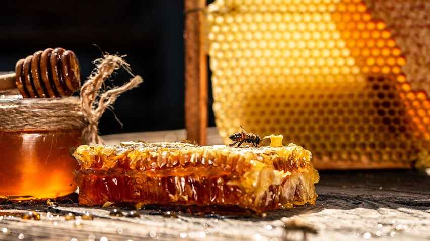 تصویر 3 از عسل وحشی سیاه خالص برداشت شده از طبیعت کوهستانی