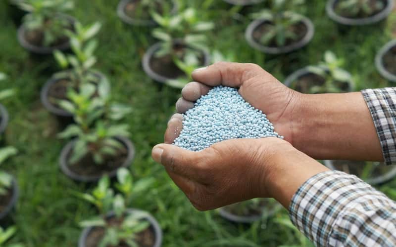 تصویر 1 از کود کشاورزی خارجی استاندارد برای کشاورزی حرفه‌ای