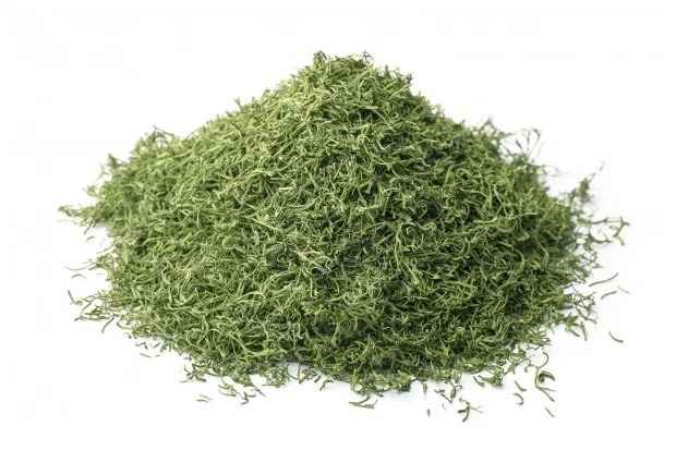 تصویر 2 از شوید خشک صادراتی خوش رنگ با عطر طبیعی و کیفیت بالا