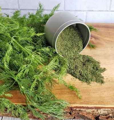 شوید خشک صادراتی خوش رنگ با عطر طبیعی و کیفیت بالا