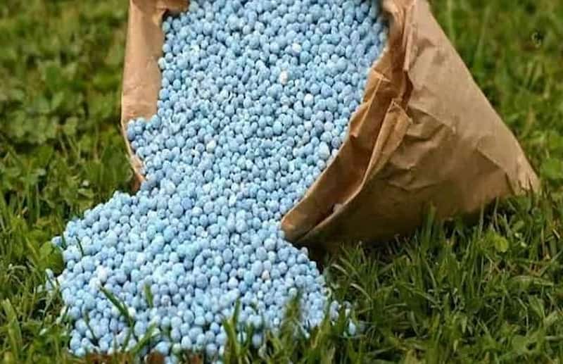 تصویر 4 از کود کشاورزی زنجان با کیفیت بالا و جذب سریع